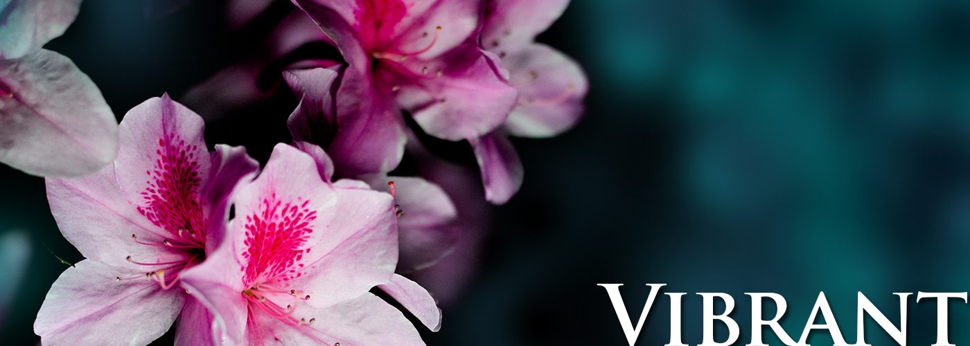 ProActive Center for Health